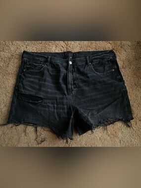 Women’s American Eagle Distressed Shorts Size 20